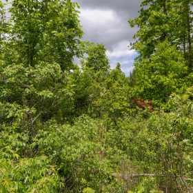 Sleepy Hollow Phase II Tract 77 in Texas County, MO
