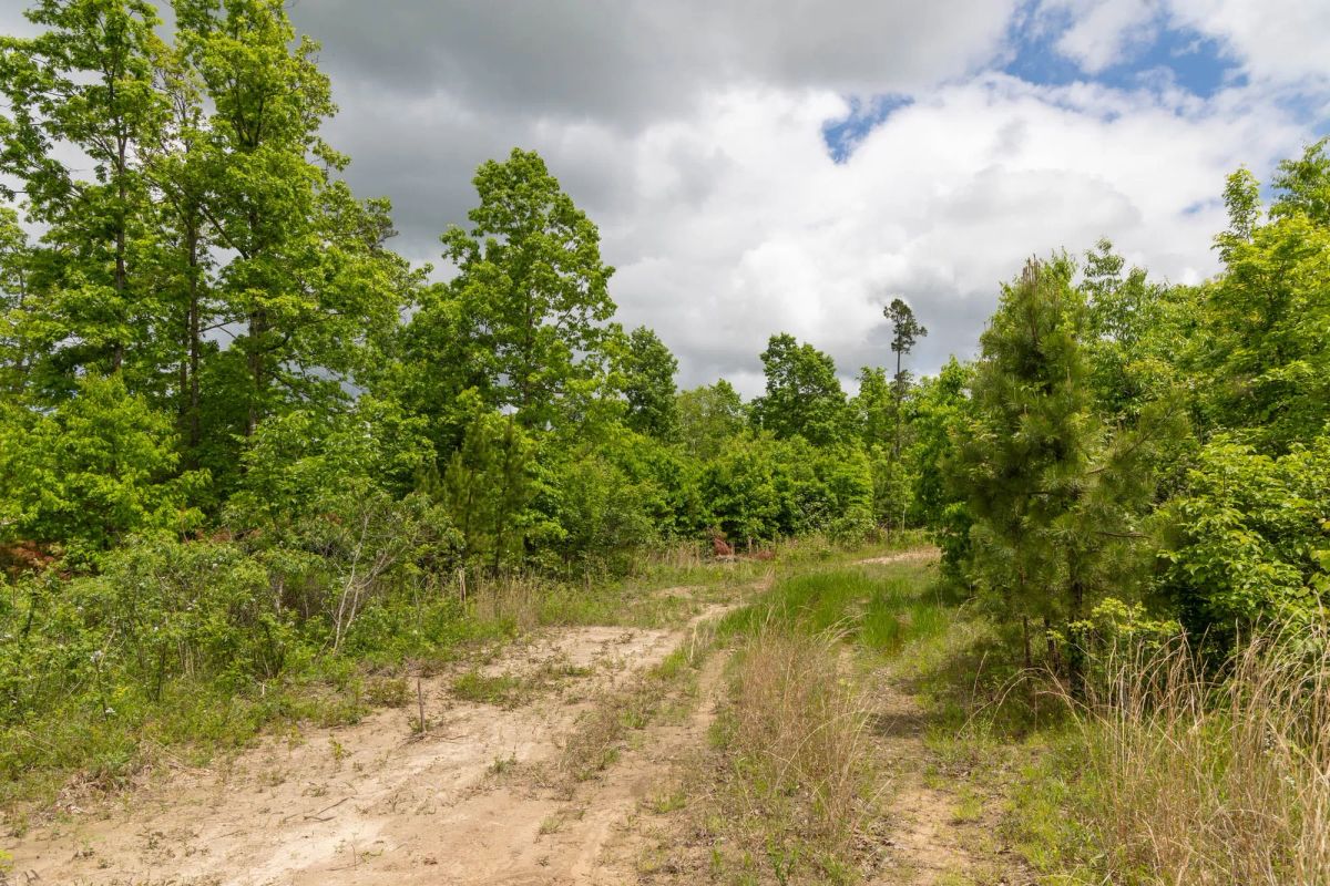 Decorative background for Sleepy Hollow Phase II Tract 77 image 7