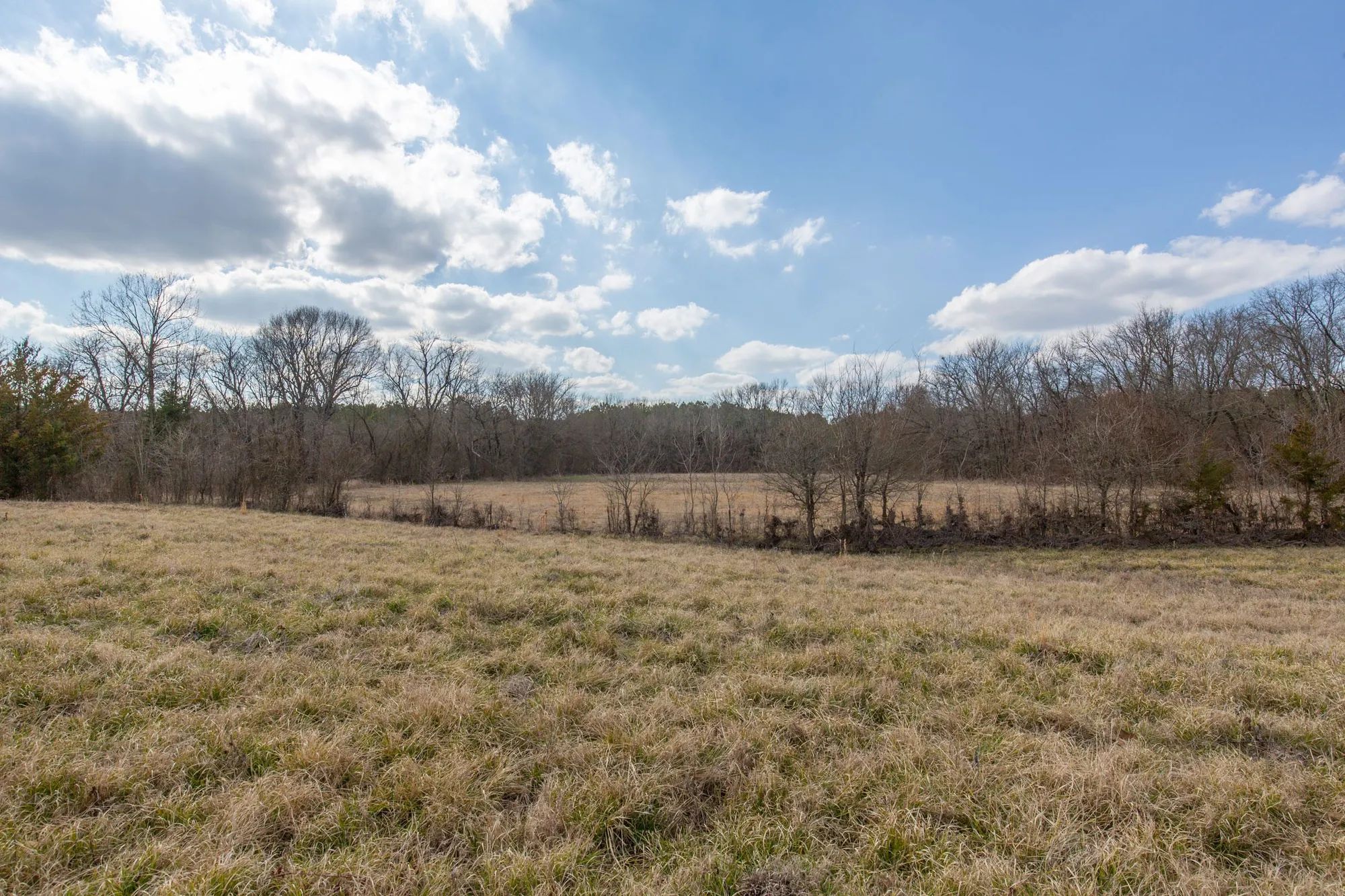 Wishing Star Ranch Tract 37 in Red River County, TX