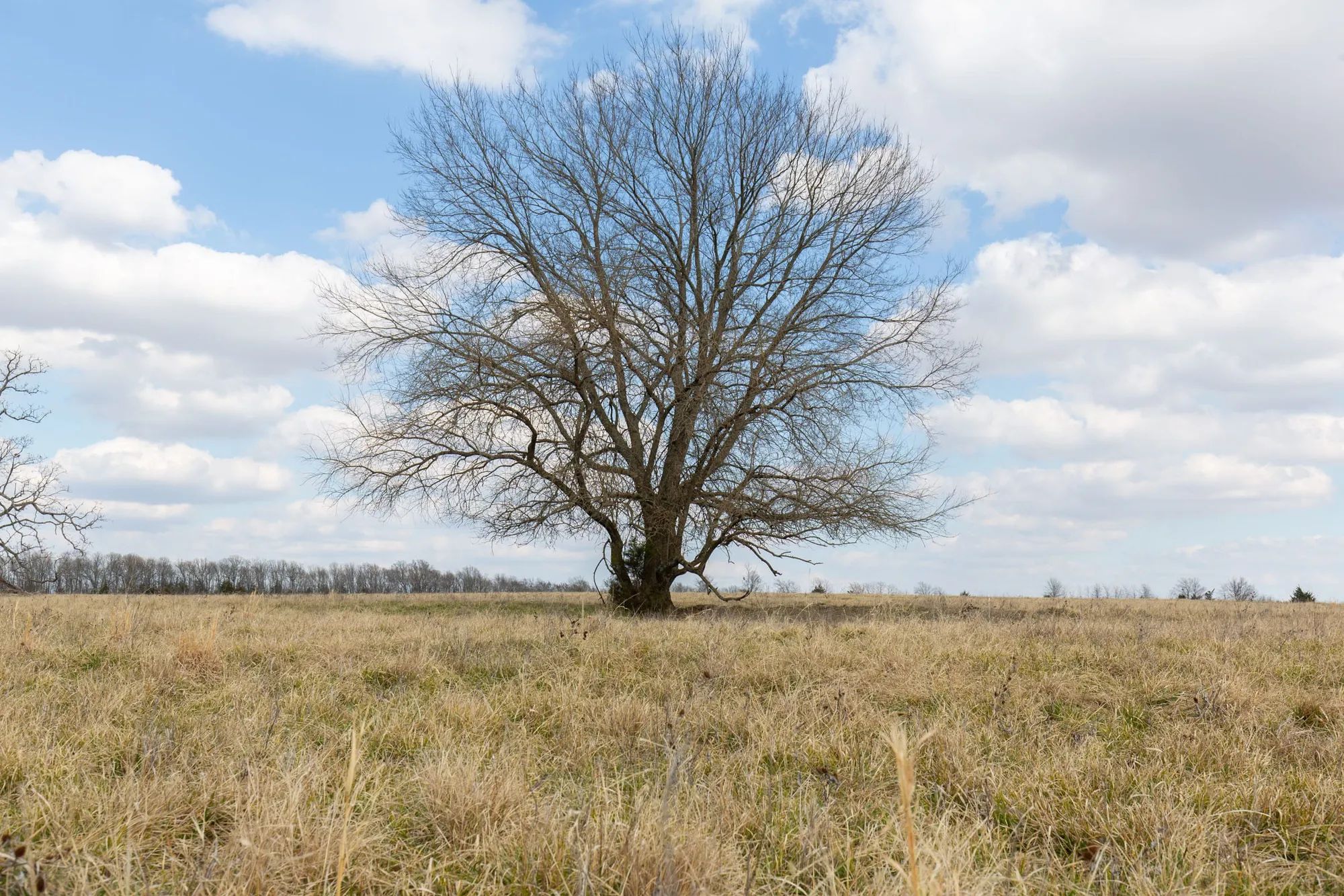Wishing Star Ranch Tract 37 in Red River County, TX