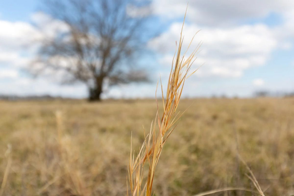 Wishing Star Ranch Tract 37 - Image 3