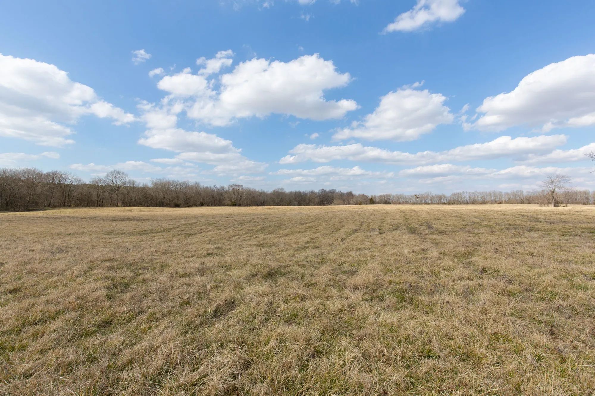 Wishing Star Ranch Tract 37 in Red River County, TX