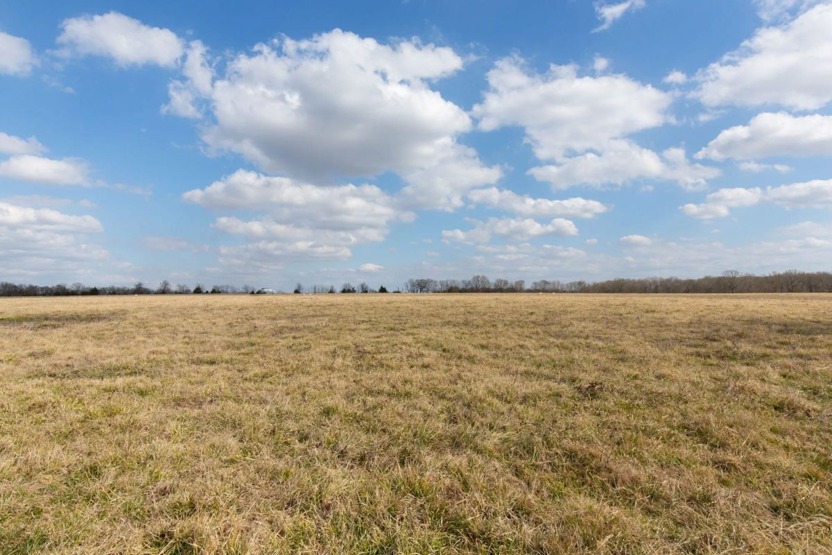 Decorative background for Wishing Star Ranch Tract 37 image 5