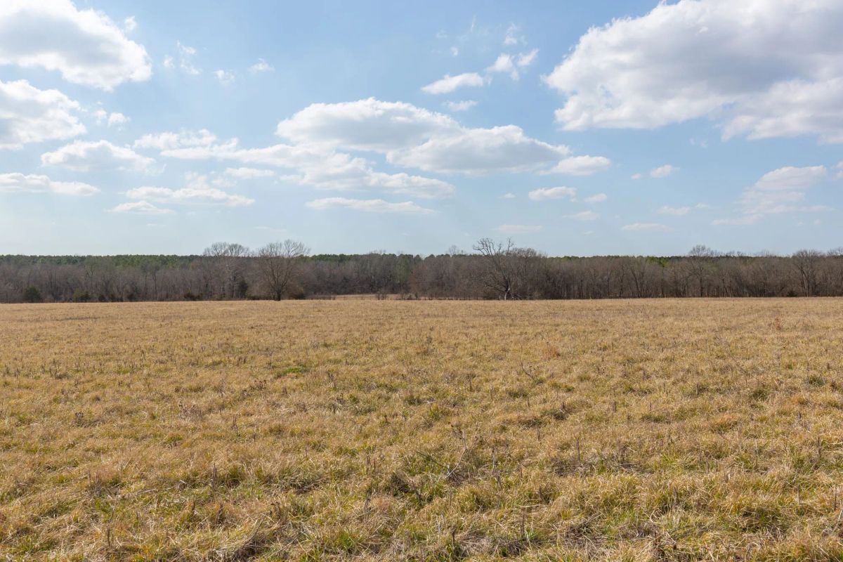 Decorative background for Wishing Star Ranch Tract 37 image 7
