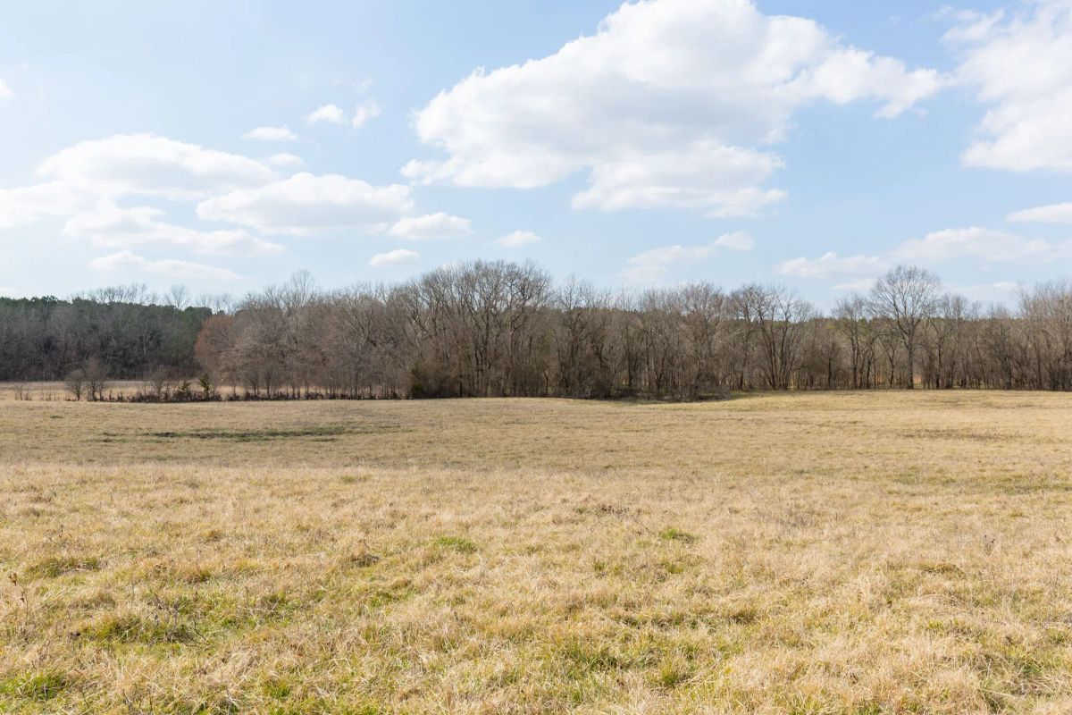 Decorative background for Wishing Star Ranch Tract 37 image 8