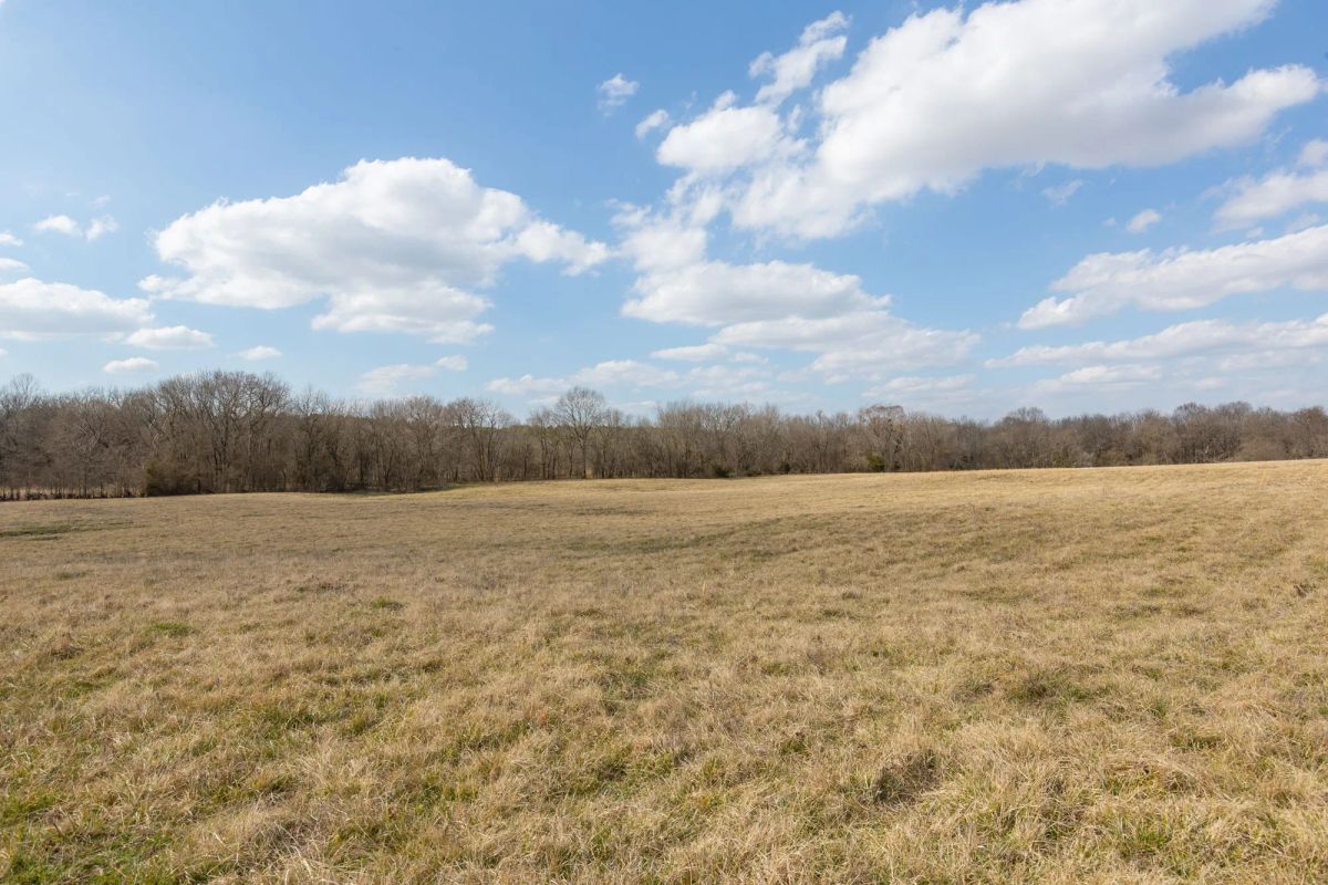 Decorative background for Wishing Star Ranch Tract 37 image 9