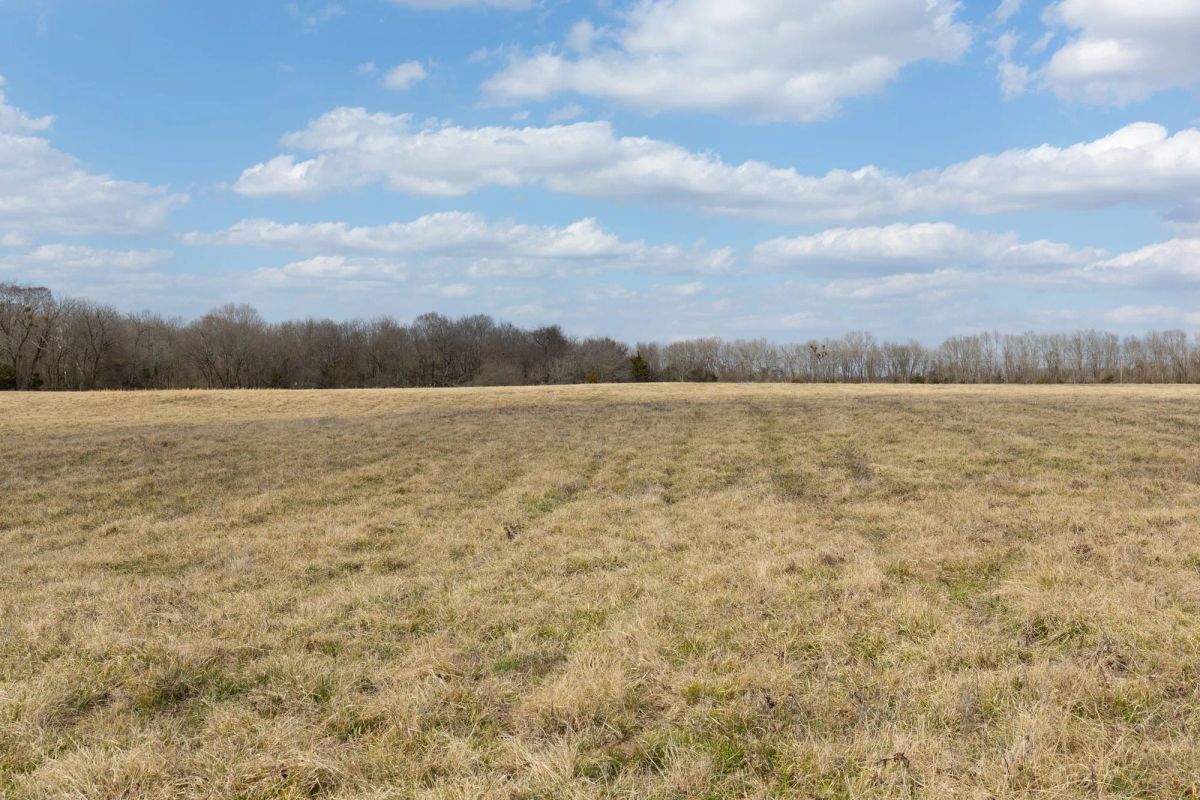 Decorative background for Wishing Star Ranch Tract 37 image 10