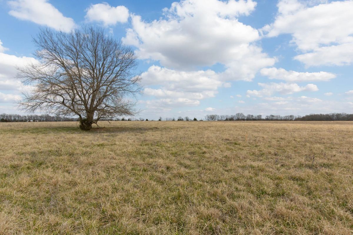Decorative background for Wishing Star Ranch Tract 37 image 11