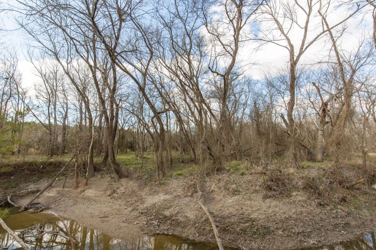 Decorative background for Wishing Star Ranch Tract 37 image 12