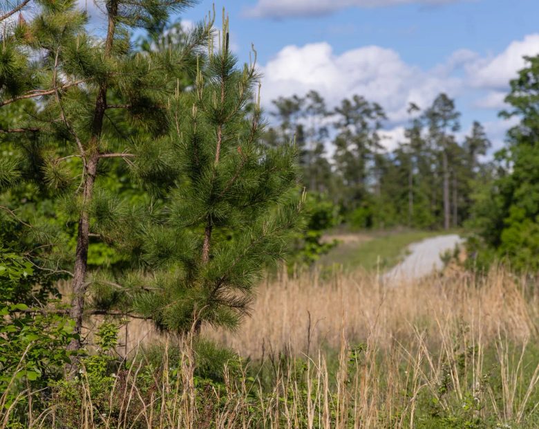 Sleepy Hollow Phase II Tract 64 in Texas County, MO