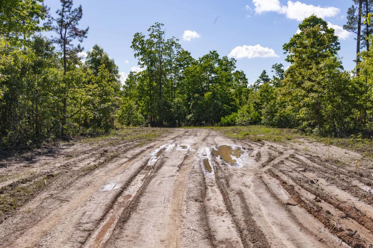 Sleepy Hollow Phase II Tract 64 - Image 2