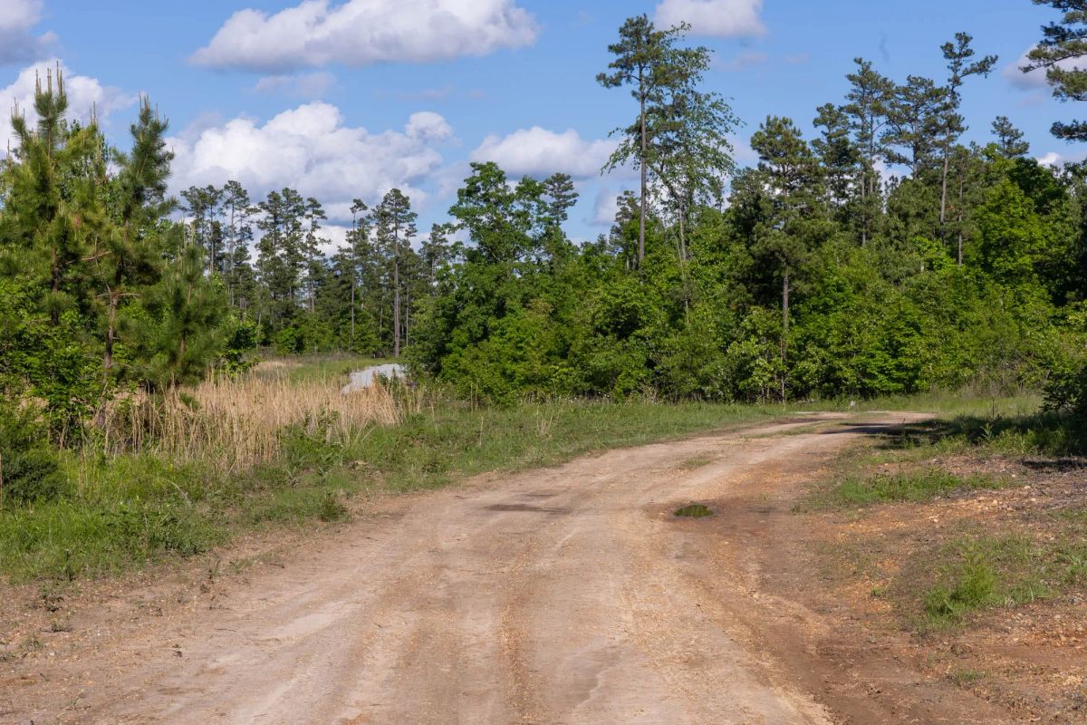 Decorative background for Sleepy Hollow Phase II Tract 64 image 6