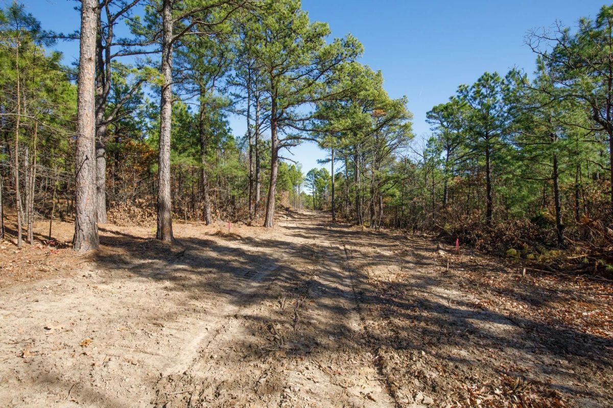 Stone Bridge Phase II Tract 97 - Main image