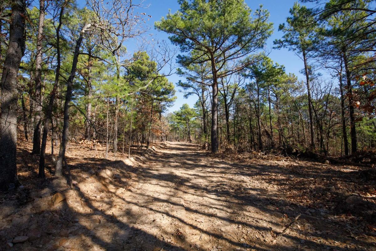 Stone Bridge Phase II Tract 97 - Image 2