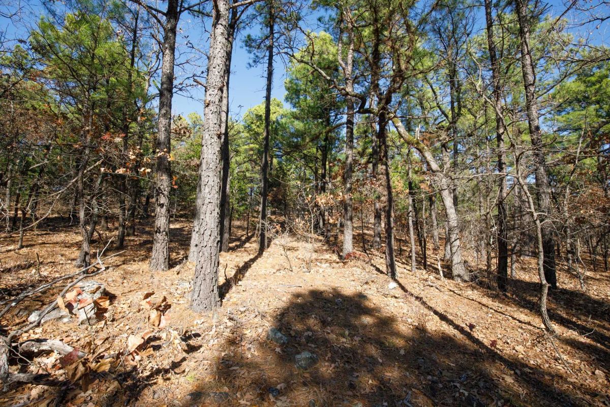 Stone Bridge Phase II Tract 97 - Image 3