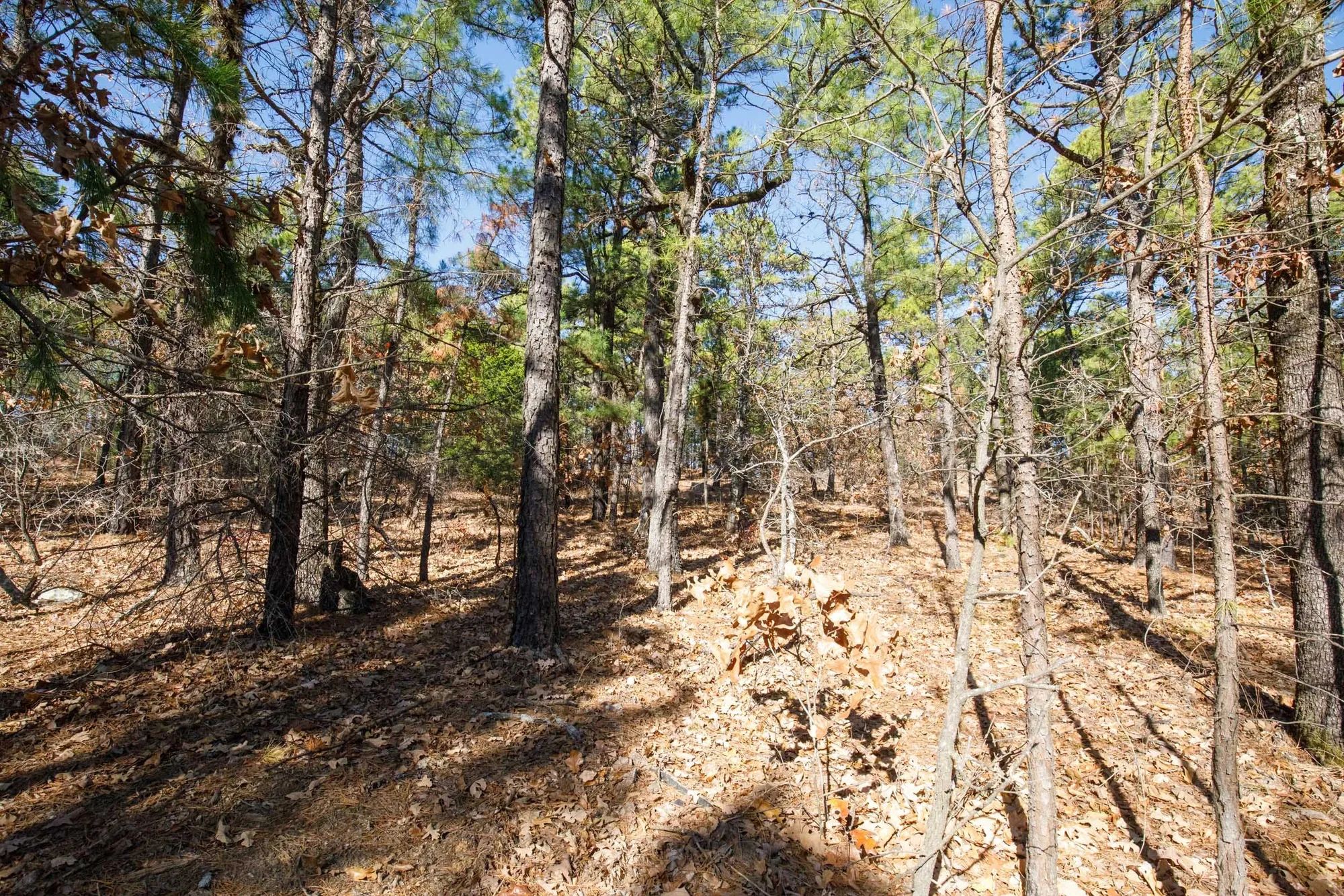 Stone Bridge Phase II Tract 97 in Latimer County, OK