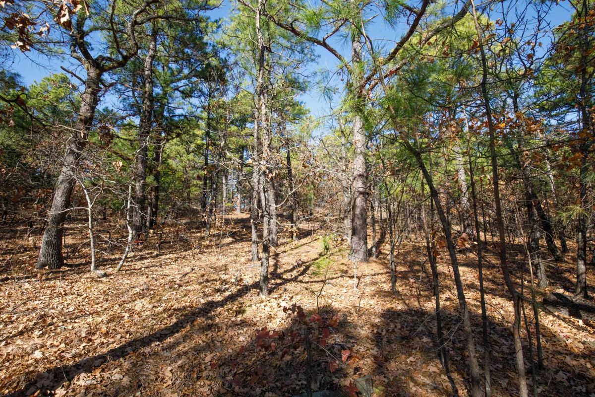 Decorative background for Stone Bridge Phase II Tract 97 image 5