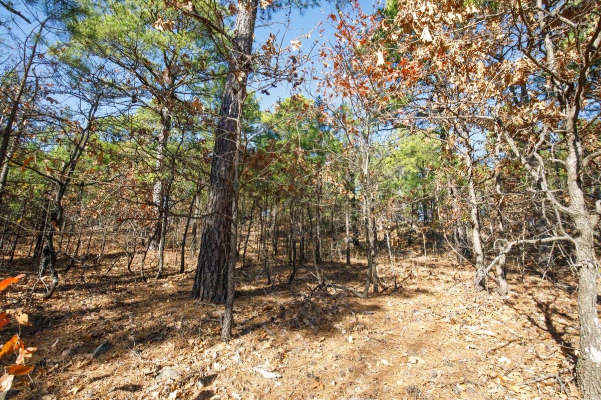 Decorative background for Stone Bridge Phase II Tract 97 image 7
