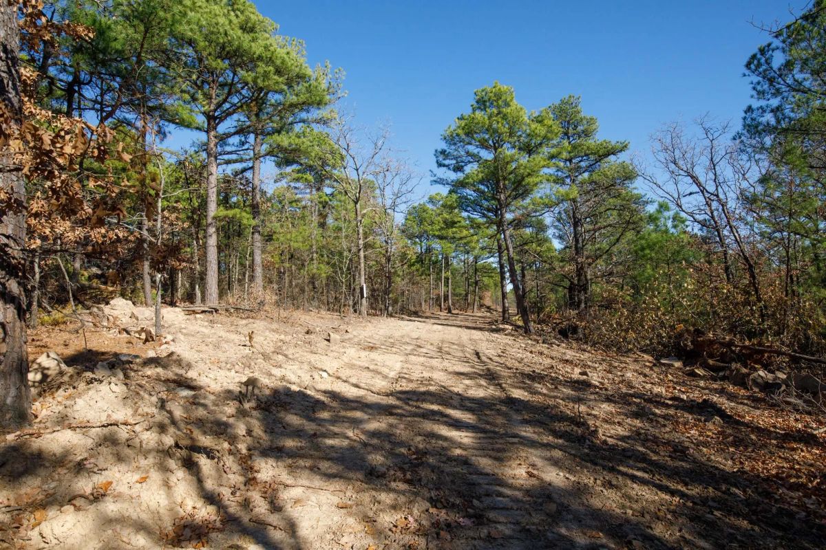 Decorative background for Stone Bridge Phase II Tract 97 image 8