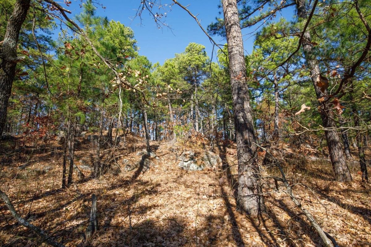 Decorative background for Stone Bridge Phase II Tract 97 image 9