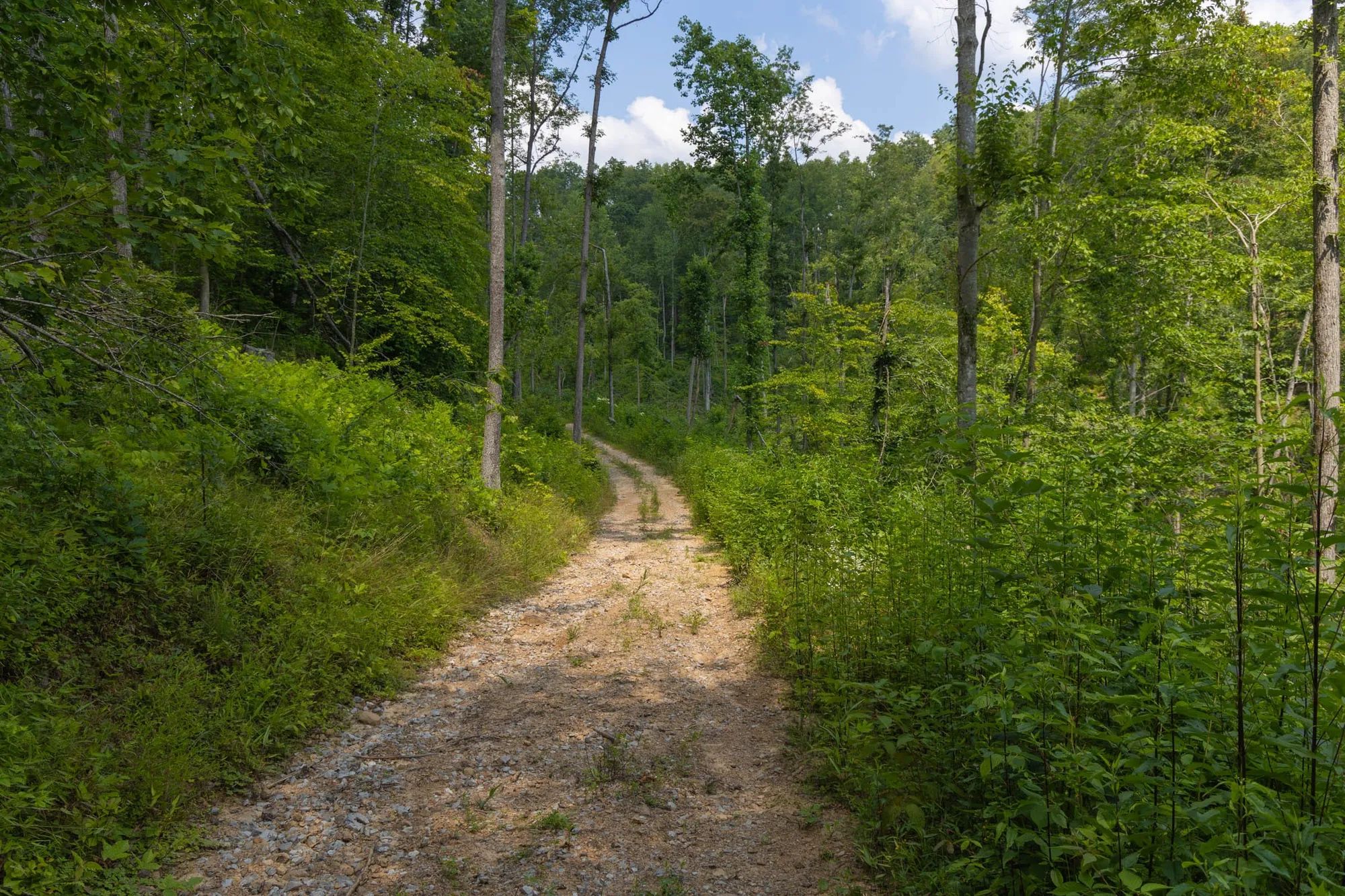 Creek Hollow Phase II Tract 69 in Rockcastle County, KY