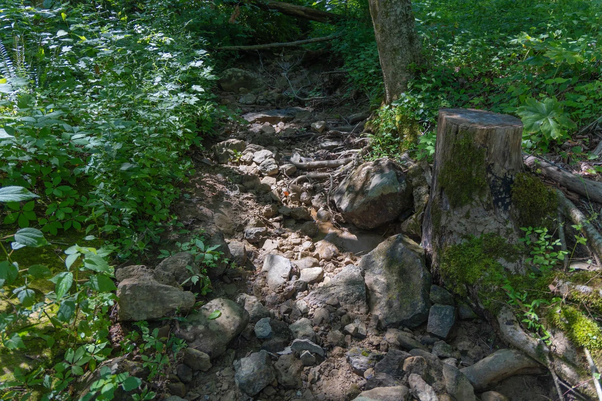 Creek Hollow Phase II Tract 69 in Rockcastle County, KY