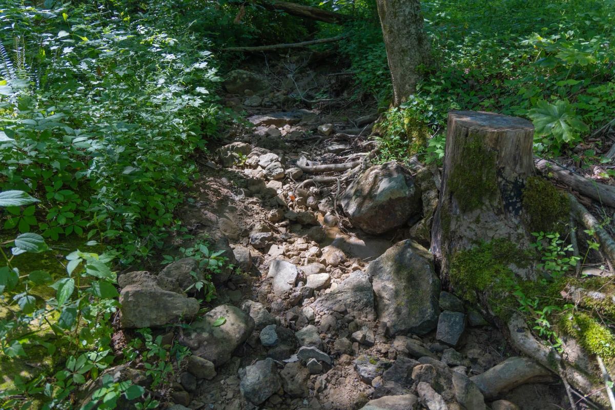 Creek Hollow Phase II Tract 69 - Image 2
