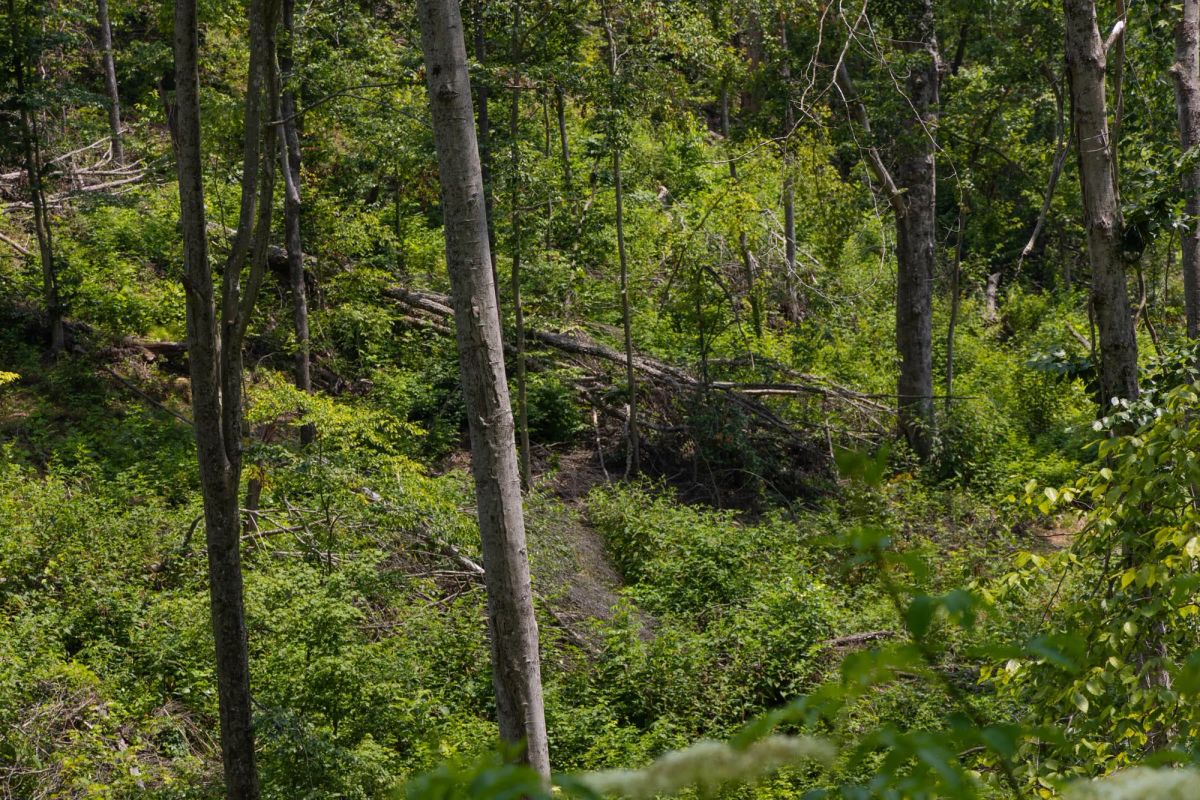 Creek Hollow Phase II Tract 69 - Image 4