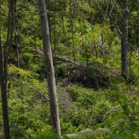 Creek Hollow Phase II Tract 69 in Rockcastle County, KY
