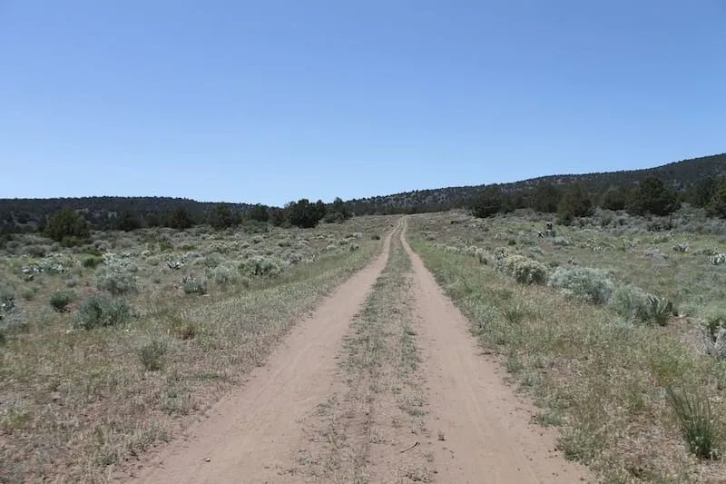 Decorative background for Moon Valley Ranch Tract 117 image 10