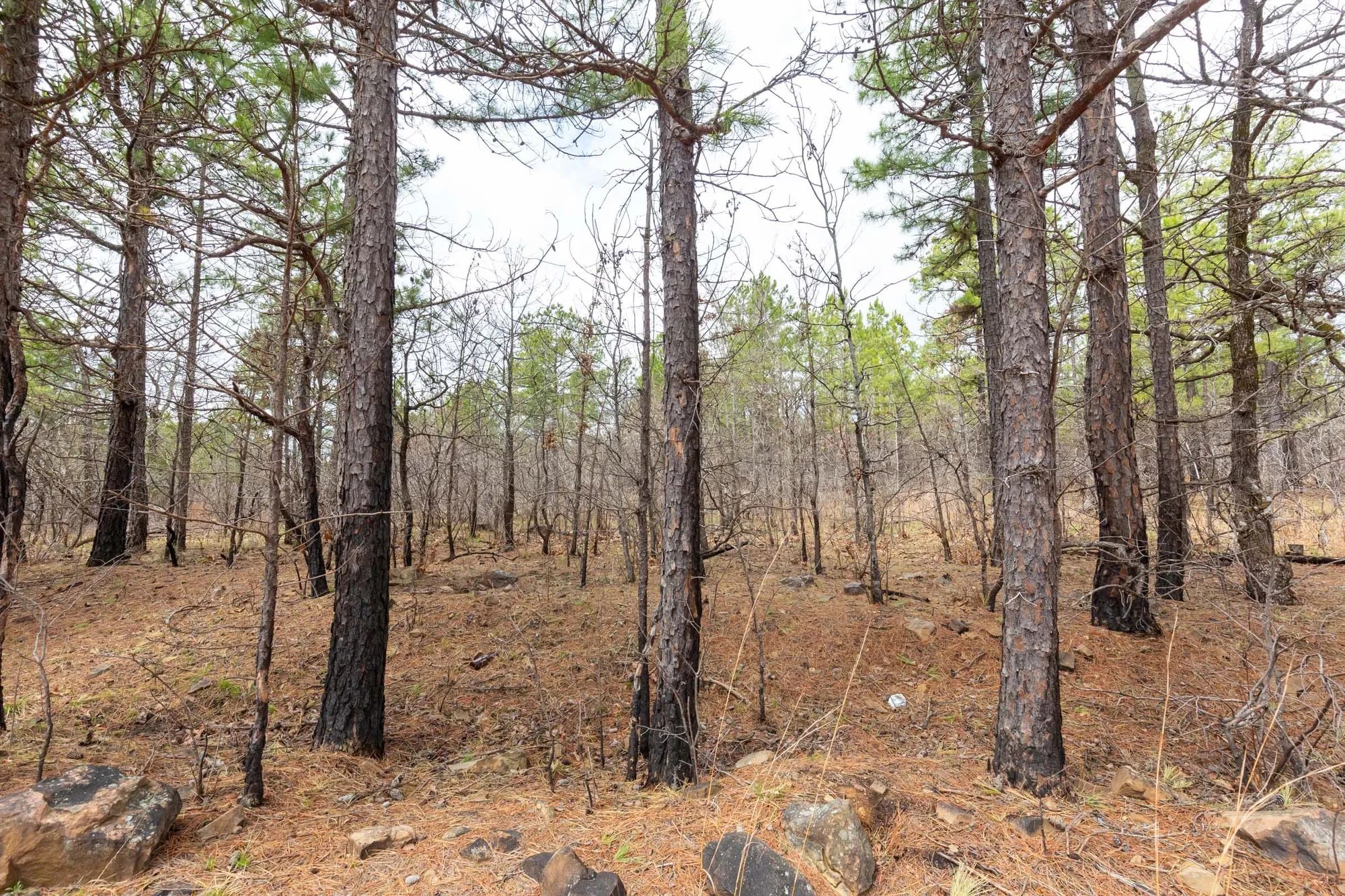 Stone Bridge Phase III Tract 175 in Latimer County, OK