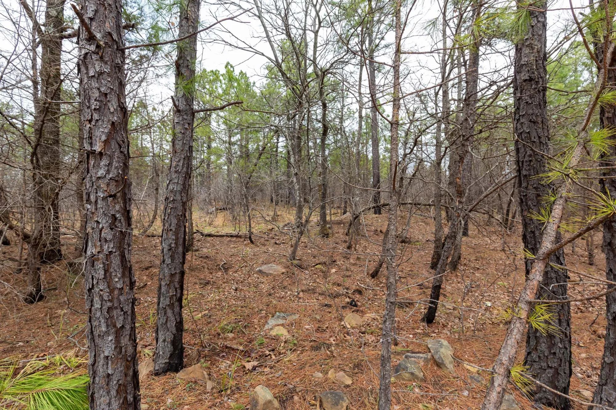 Stone Bridge Phase III Tract 175 in Latimer County, OK