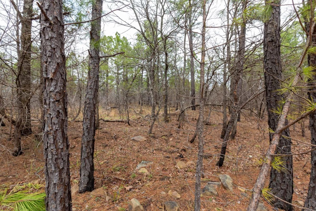 Stone Bridge Phase III Tract 175 - Image 3