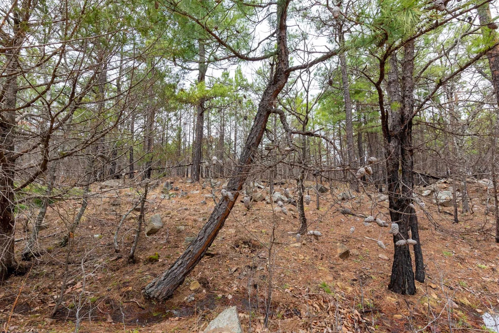 Stone Bridge Phase III Tract 175 in Latimer County, OK
