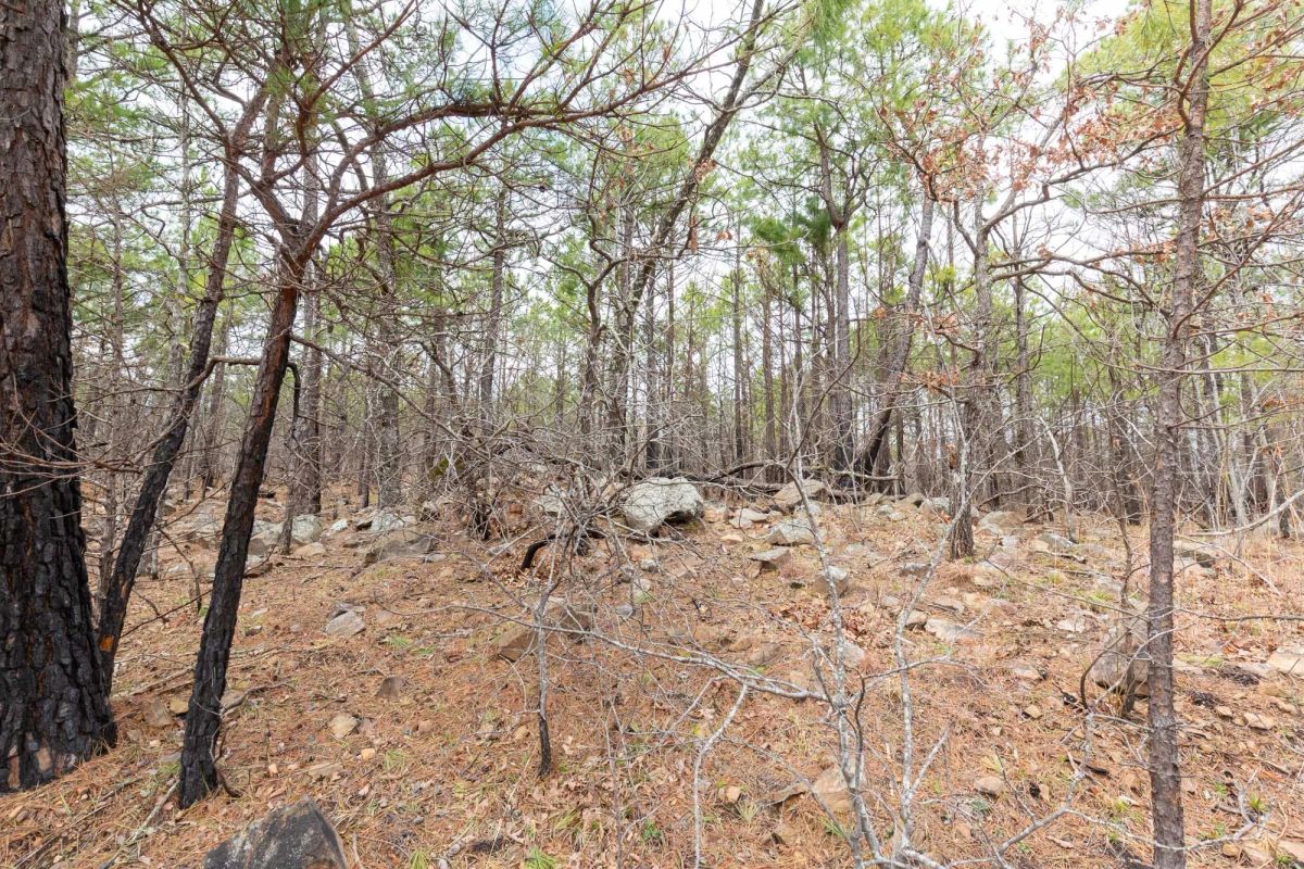 Decorative background for Stone Bridge Phase III Tract 175 image 5