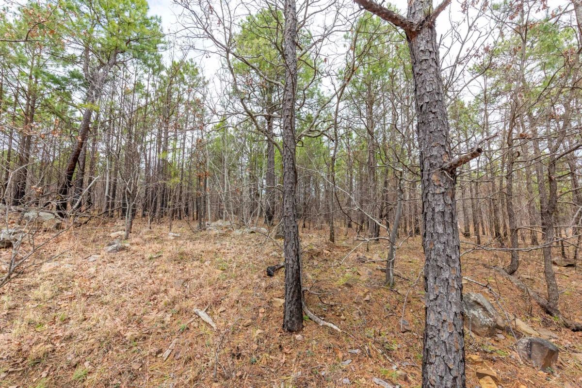 Decorative background for Stone Bridge Phase III Tract 175 image 6