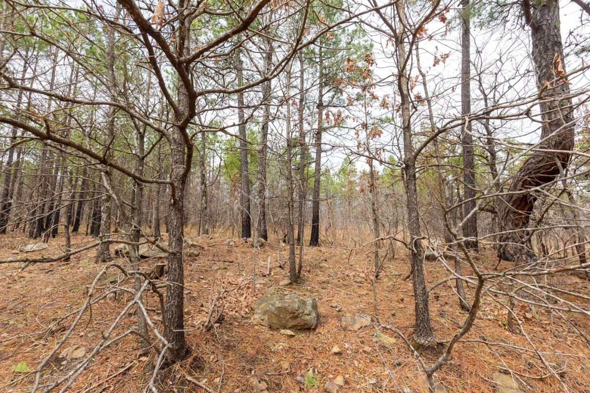 Decorative background for Stone Bridge Phase III Tract 175 image 7