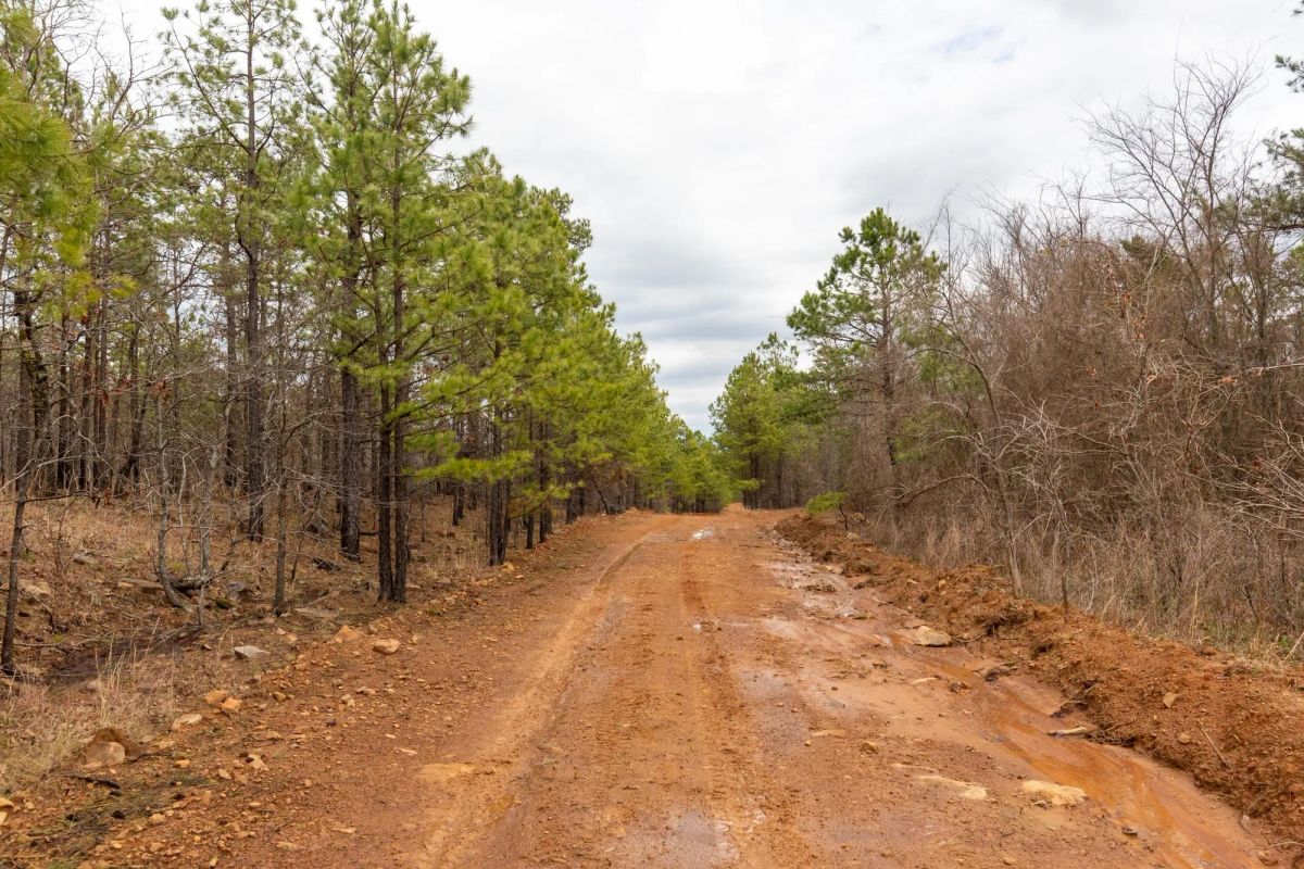 Decorative background for Stone Bridge Phase III Tract 175 image 8