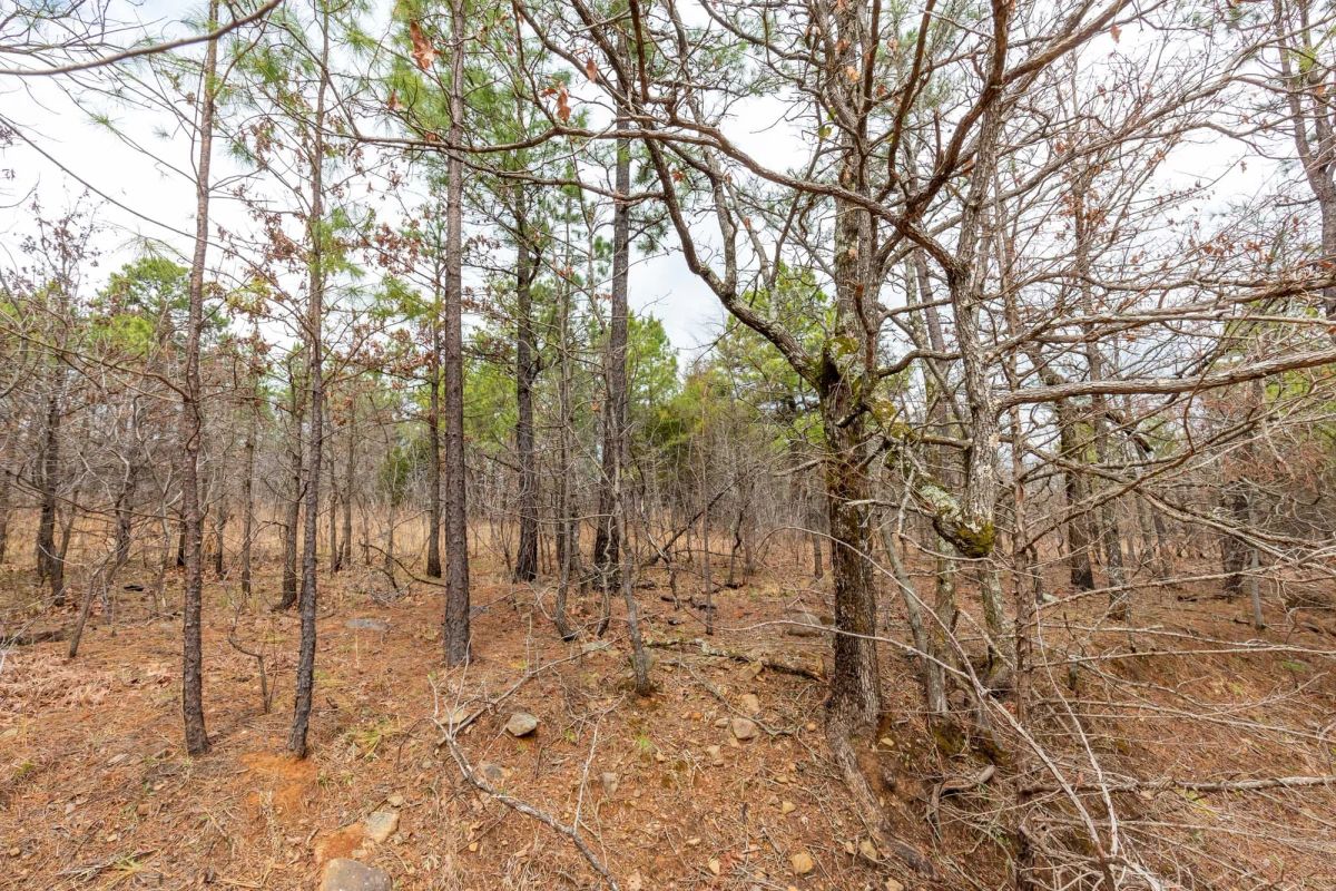 Decorative background for Stone Bridge Phase III Tract 175 image 9