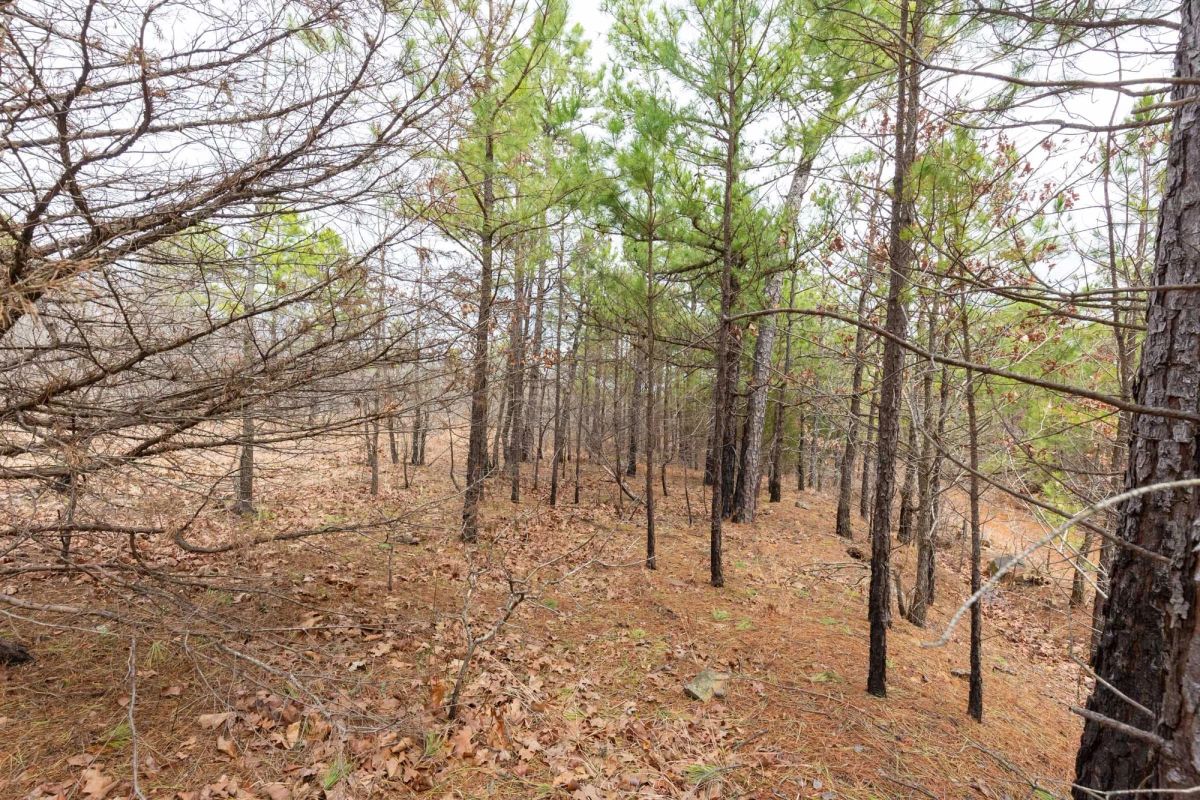 Decorative background for Stone Bridge Phase III Tract 175 image 11