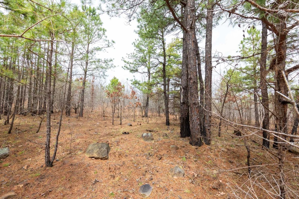 Decorative background for Stone Bridge Phase III Tract 175 image 12