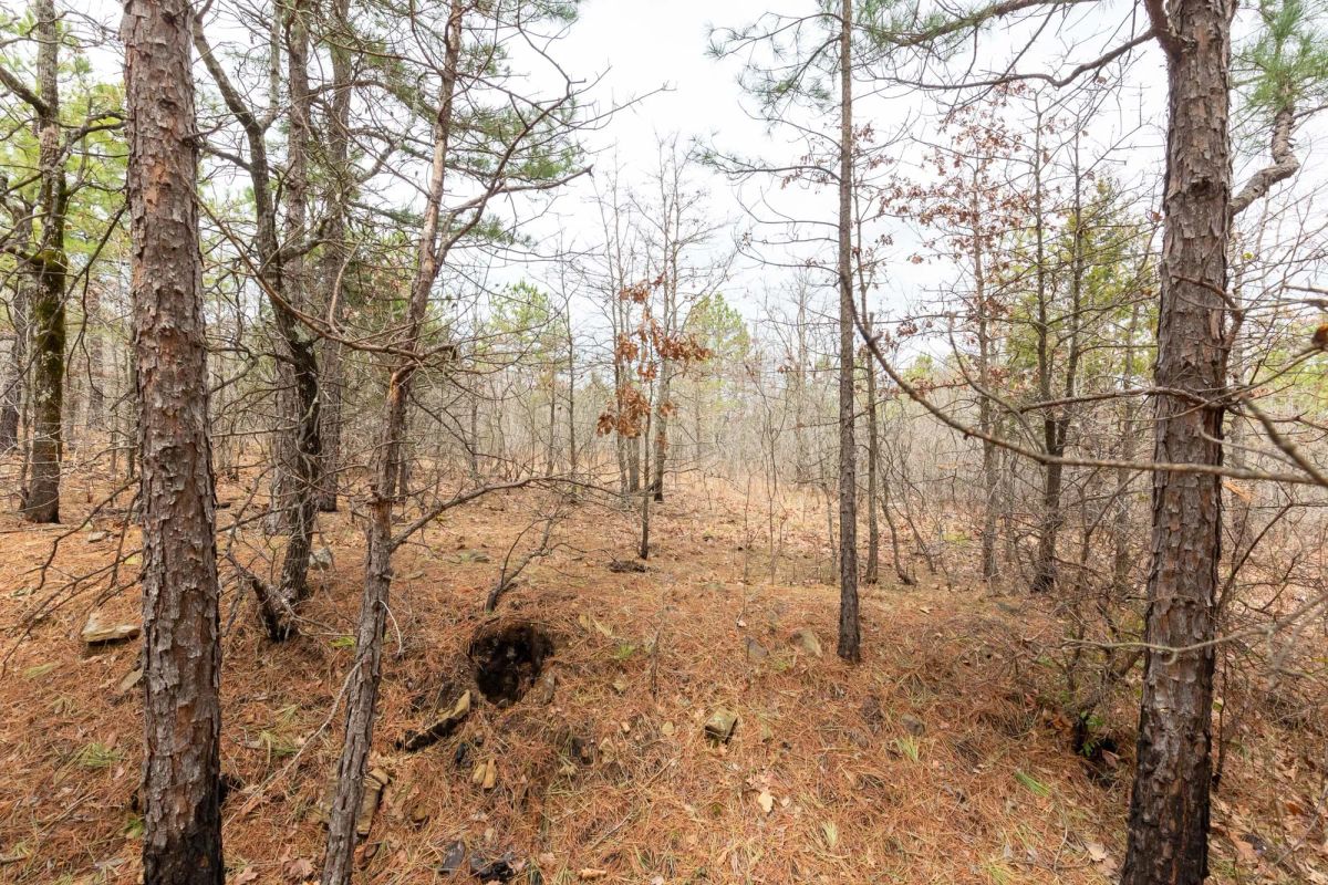 Decorative background for Stone Bridge Phase III Tract 175 image 13
