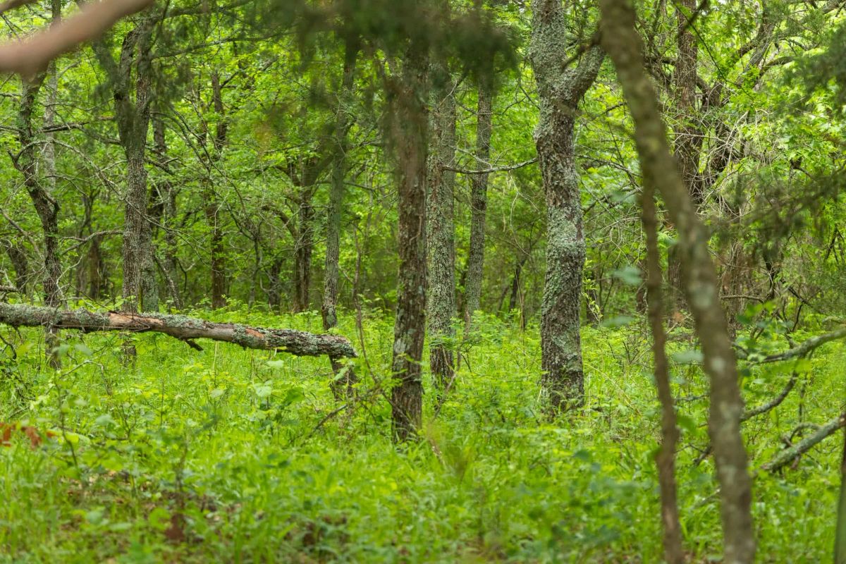 Harmony Hills Tract 8 - Main image