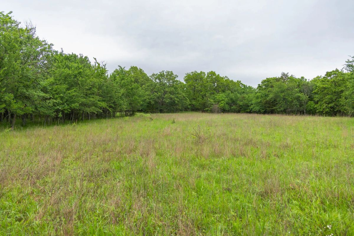 Decorative background for Harmony Hills Tract 8 image 6