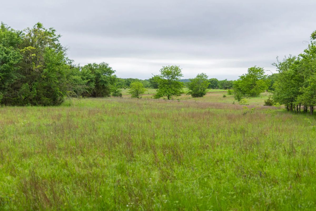 Decorative background for Harmony Hills Tract 8 image 8