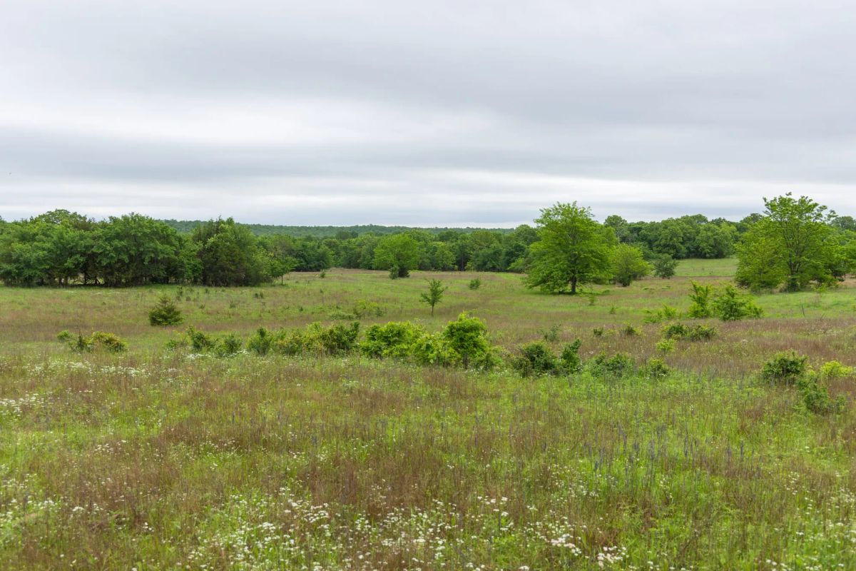 Decorative background for Harmony Hills Tract 8 image 10