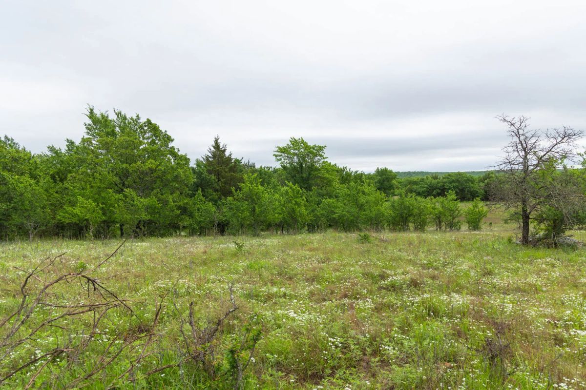 Decorative background for Harmony Hills Tract 8 image 11