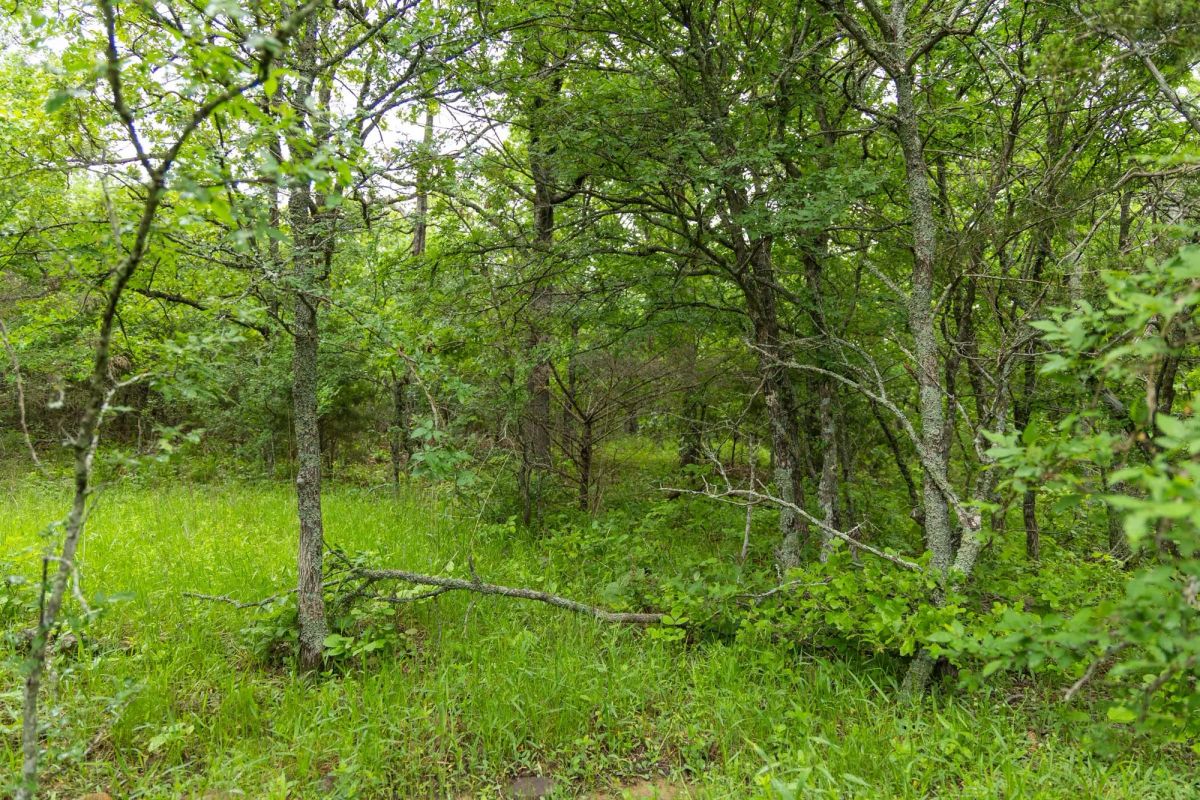 Decorative background for Harmony Hills Tract 8 image 13