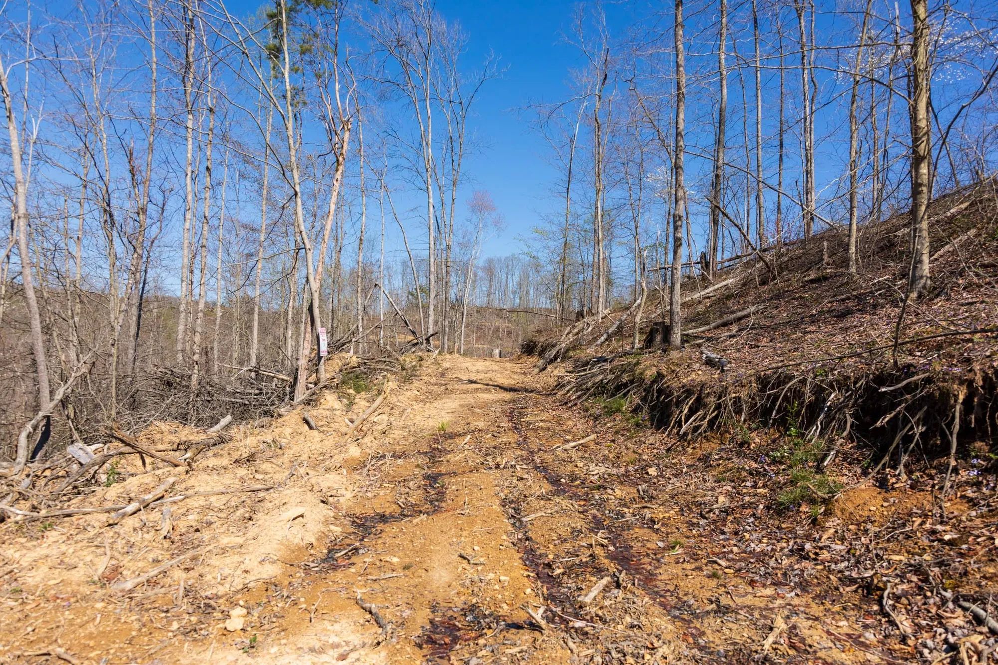 Creek Hollow Phase I Tract 34 in Rockcastle County, KY