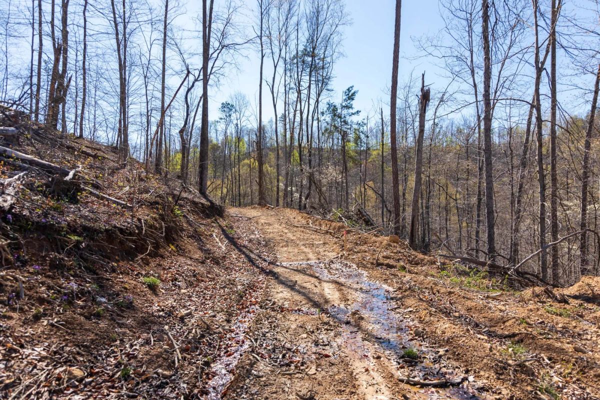 Creek Hollow Phase I Tract 34 - Image 2